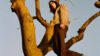 A. G. Cook talks new album 'Britpop'