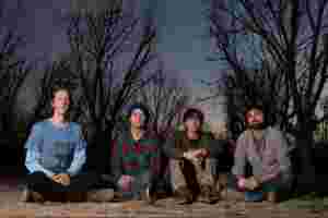 So You Think You Know... Animal Collective