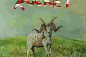 (Sandy) Alex G - Rocket