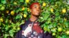 Arlo Parks talks rediscovering herself on the dancefloor for third album 'Ambiguous Desire'