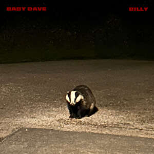 Baby Dave - billy