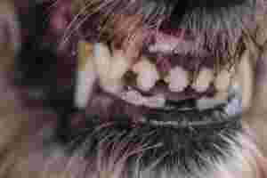 Blanck Mass - World Eater