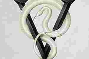 Bullet For My Valentine - Venom
