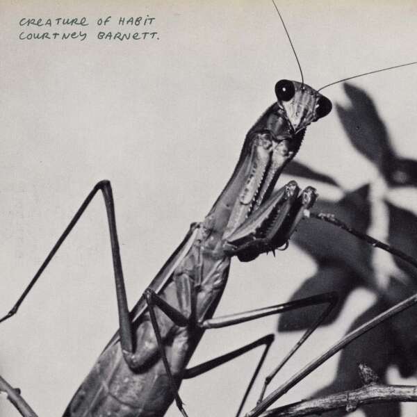 <strong>Courtney Barnett - Creature of Habit</strong>