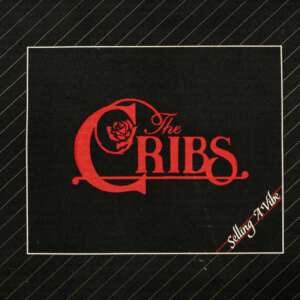 稀少UK限定カラーSelling A VibeクリブスThe Cribsレコード The Cribs - Selling A Vibe review • DIY Magazine