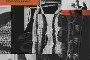 Do Nothing - Zero Dollar Bill