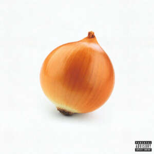 hard life - onion