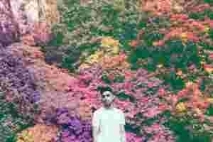 The Neu Bulletin (29th July 2015)