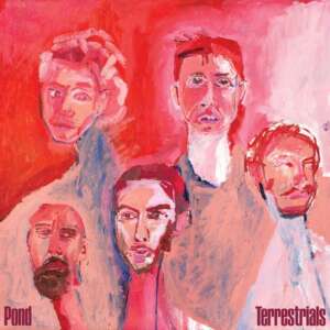 POND - Terrestrials