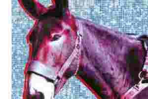Protomartyr - Ultimate Success Today