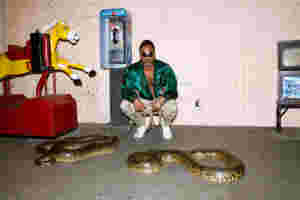 Hear Animal Collective’s remix of Shabazz Palaces’ ‘#CAKE’