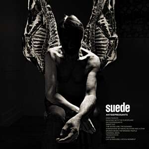 Suede - Antidepressants