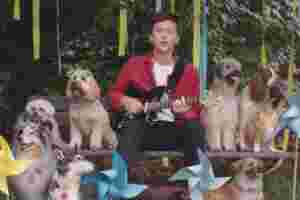 Ten Tonnes takes very cute dogs for a walk in new video for ‘G.I.V.E’