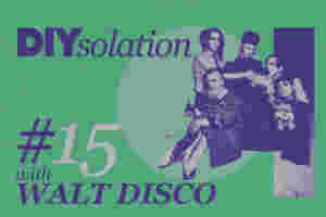 DIYsolation: #15 with Walt Disco