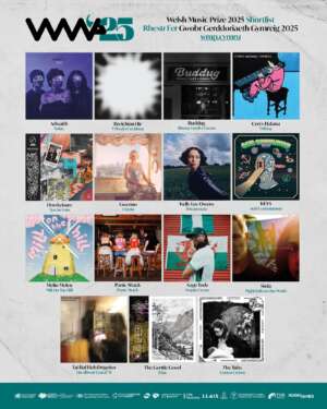 Melin Melyn, Panic Shack, and Kelly Lee Owens shortlisted for Welsh Music Prize 2025