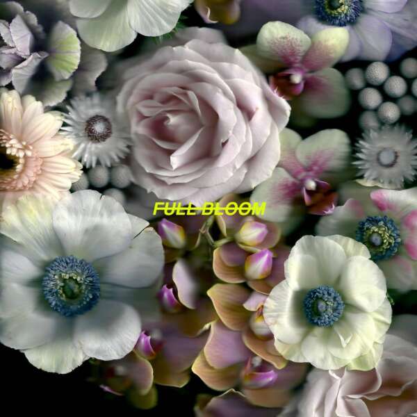 <strong>Alpines - Full Bloom</strong> 
