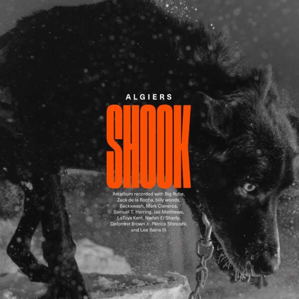 <strong>Algiers - Shook</strong>