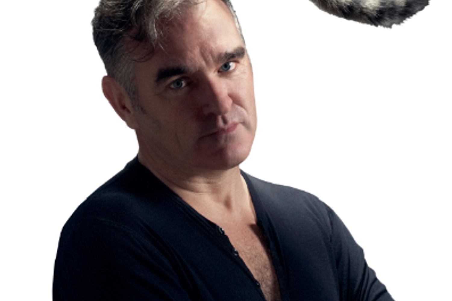 Morrissey's book has been nominated for a Bad Sex in Fiction Award