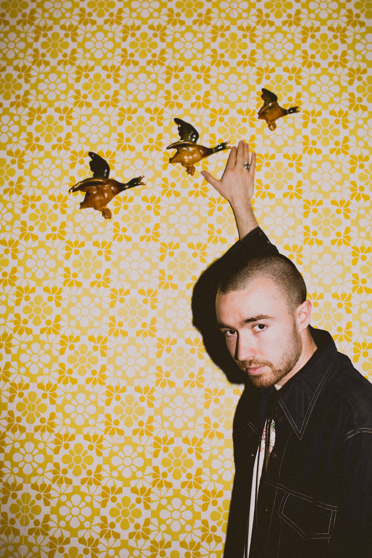 Matt Maltese: A different kind of love song