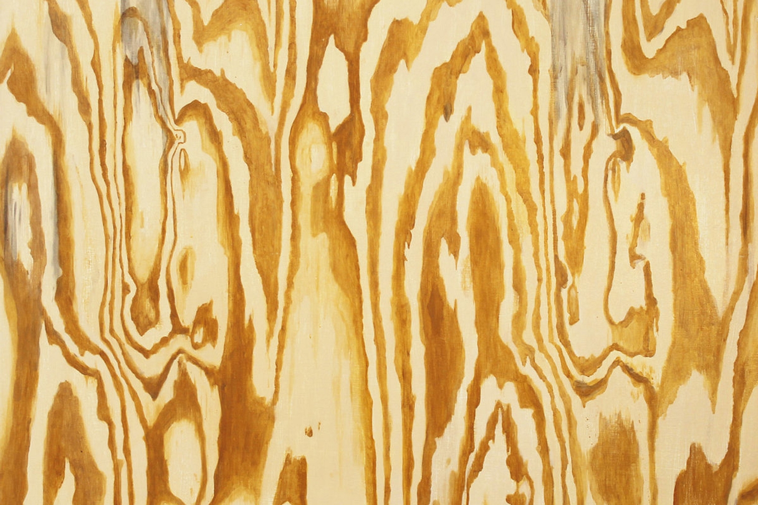 Mazes - Wooden Aquarium