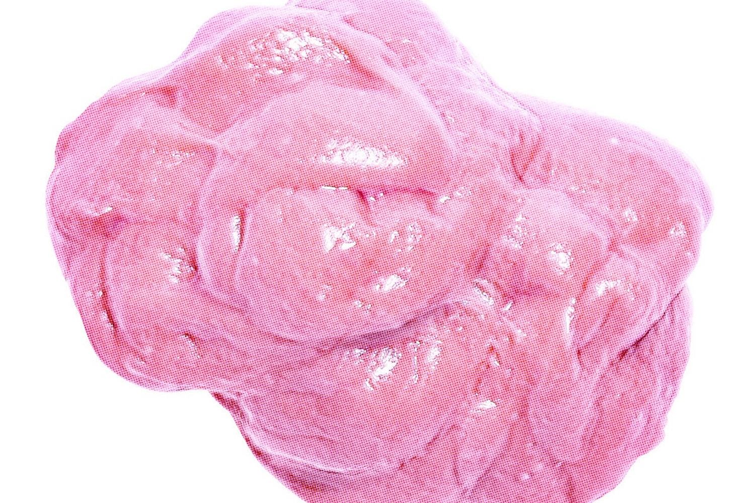 Magic Potion - Pink Gum