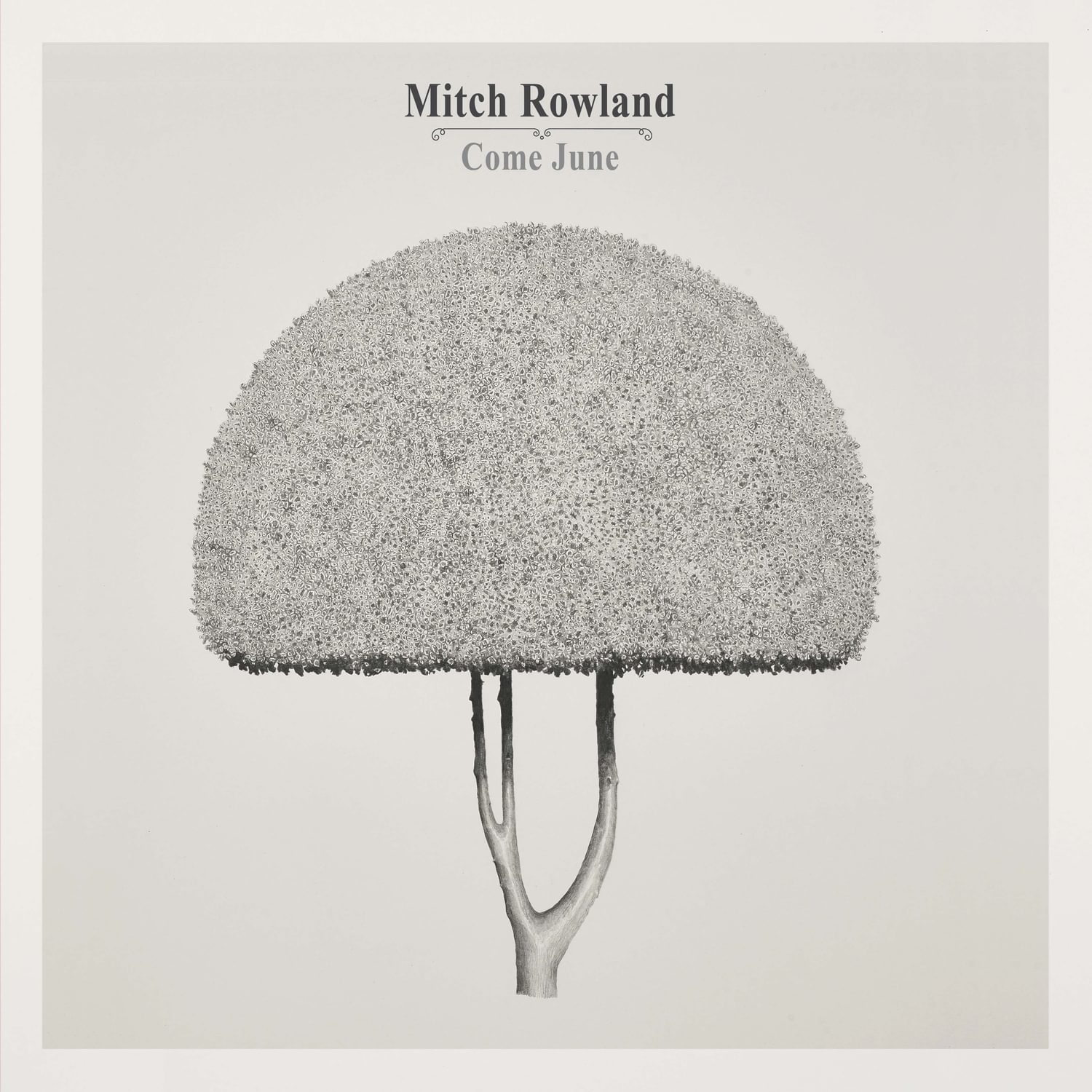 Mitch Rowland - Come June