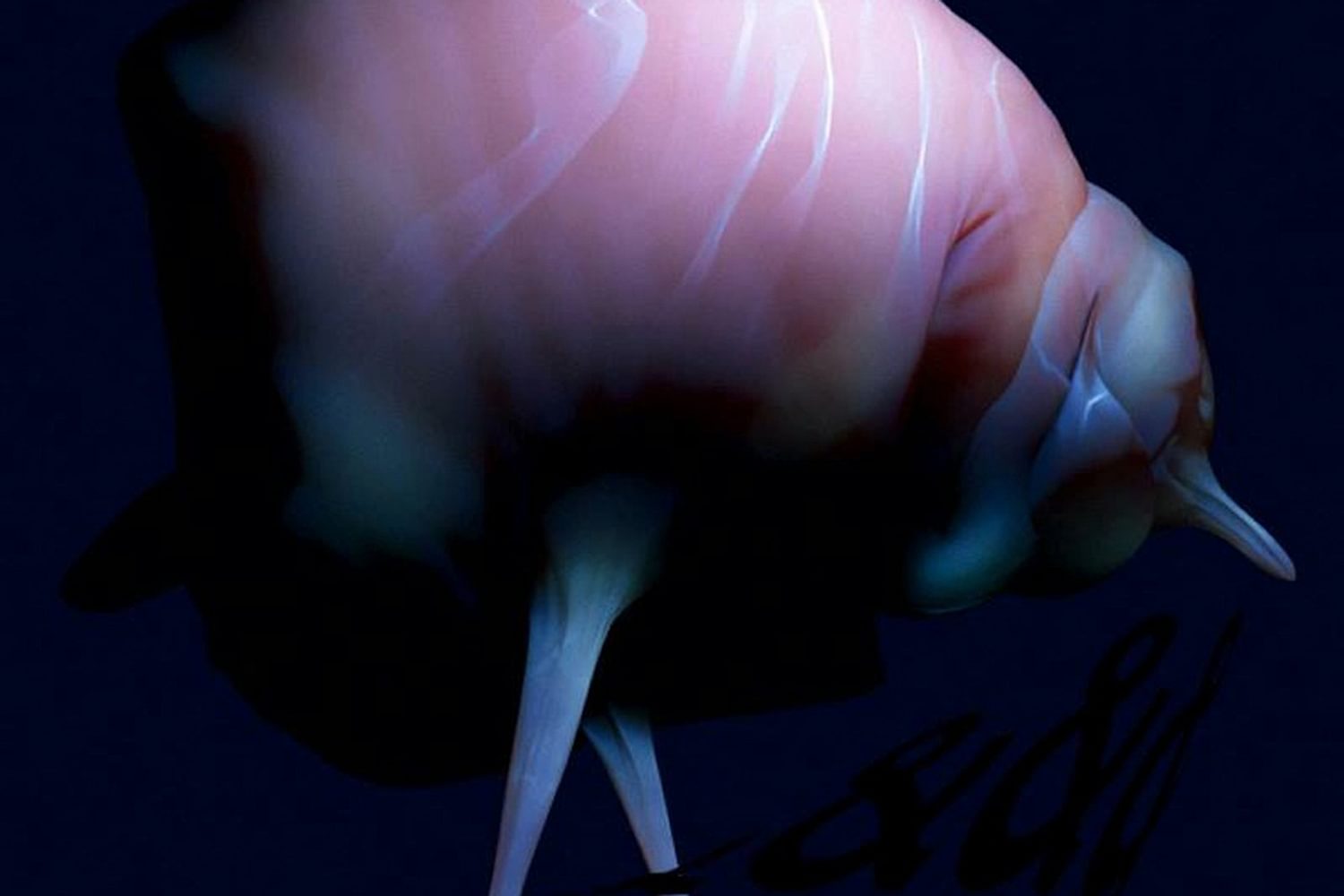 Arca shares score for Pitti Uomo fashion event