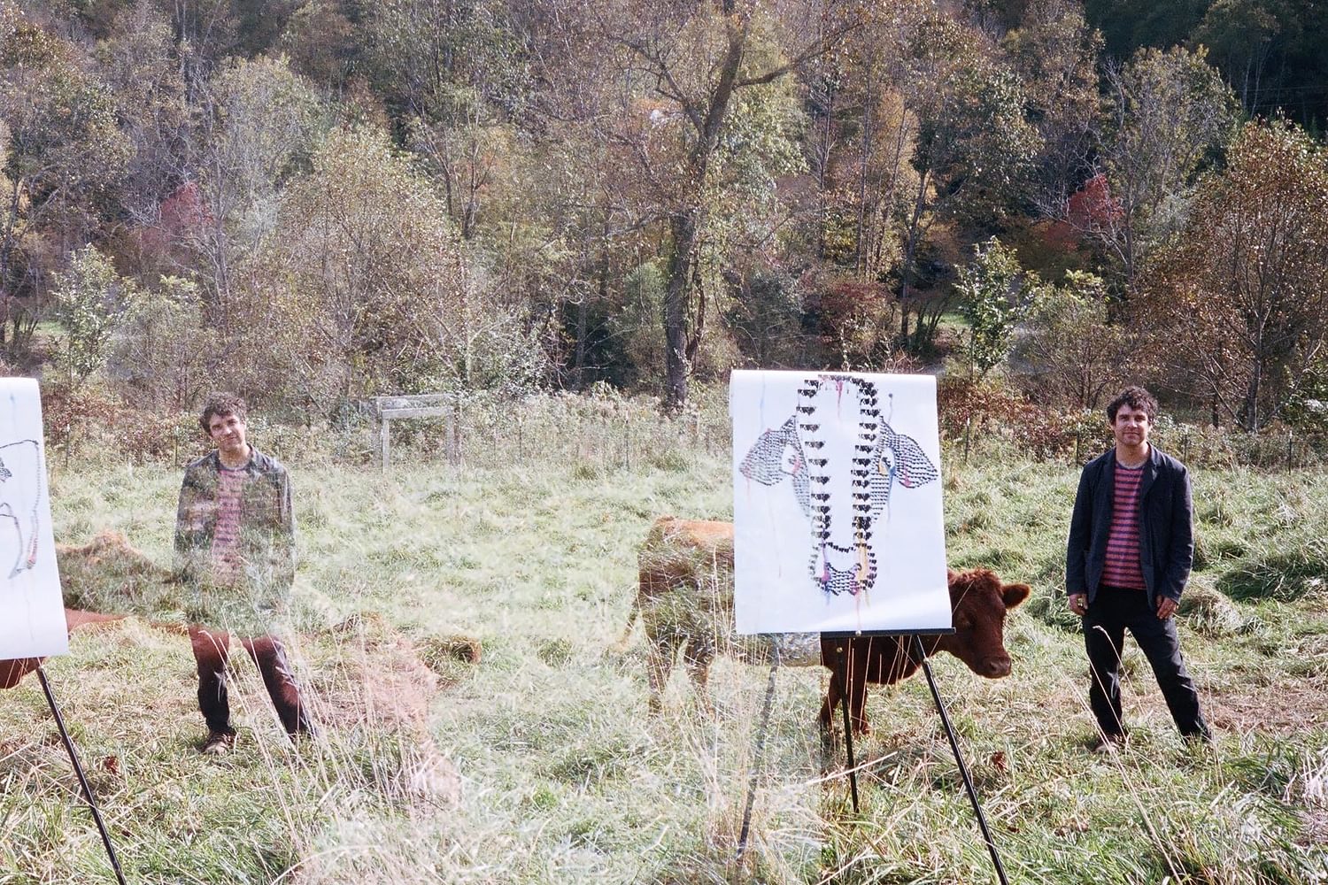 Back Like Eight Track: Avey Tare