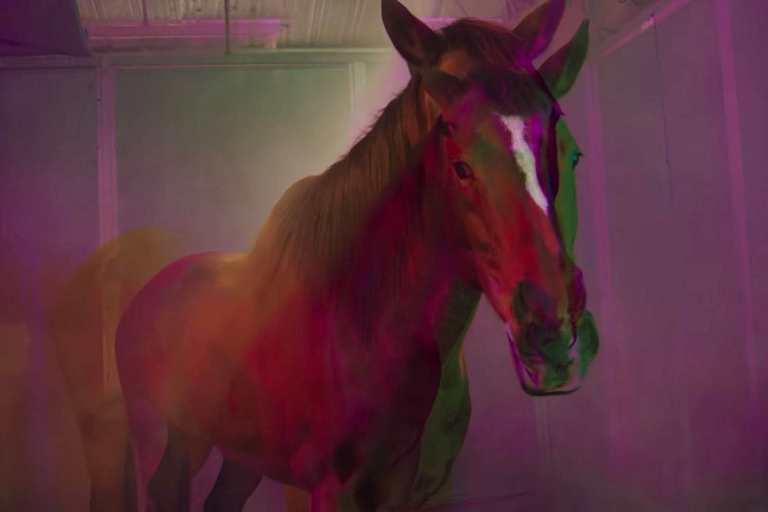 Avey Tare shares video for ‘HORS_’