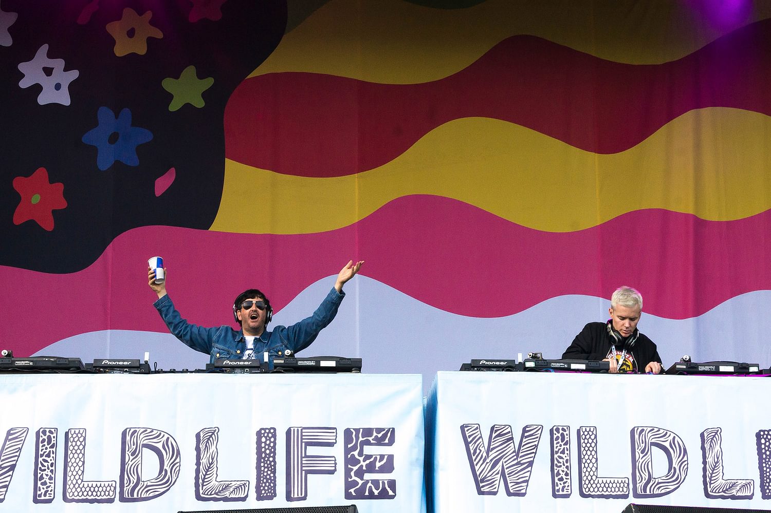 WILD LIFE 2016