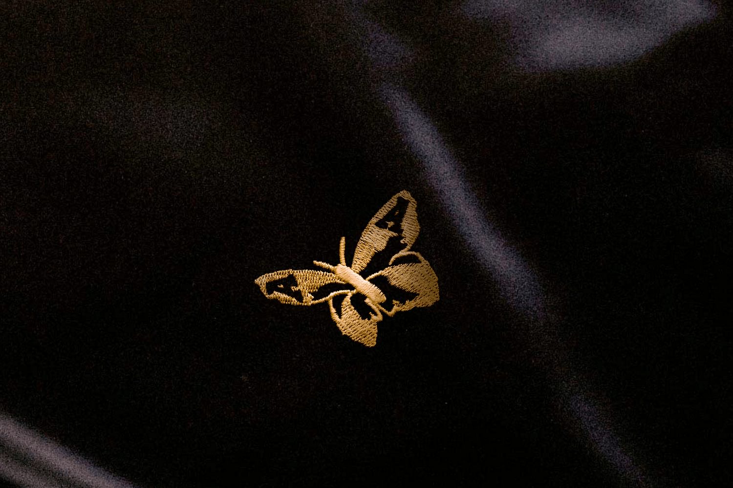 The Avalanches are back! Three dates set for summer, including Field Day
