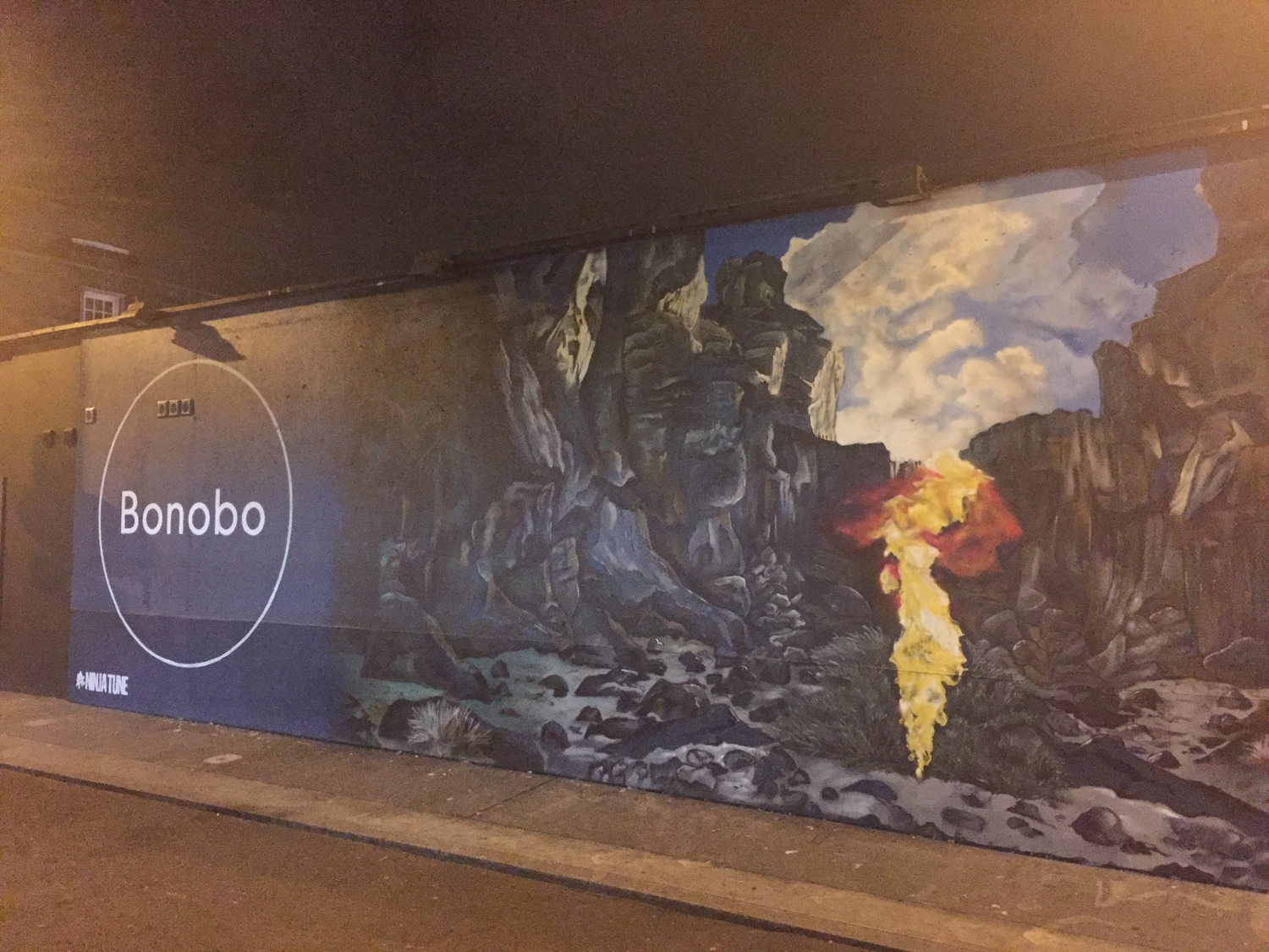 Bonobo is up to something