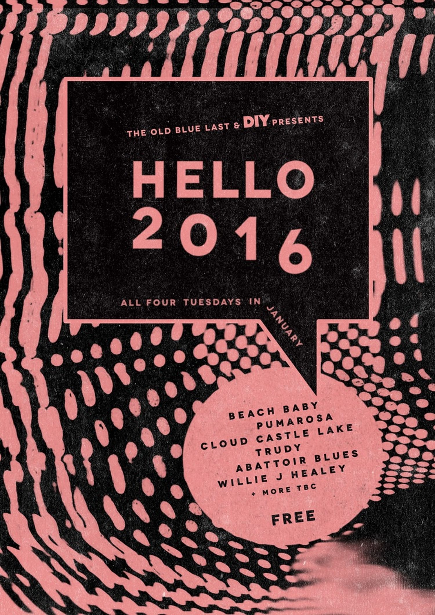 Beach Baby, Pumarosa, Willie J Healey to play DIY Presents’ Hello 2016