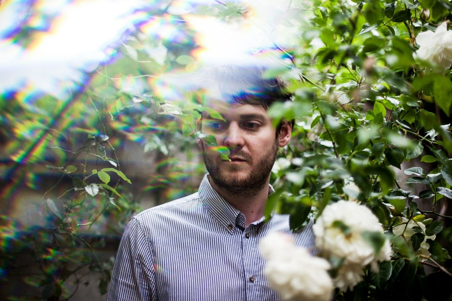 Learning to say yes: Beirut