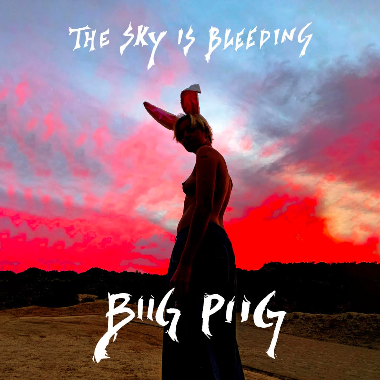 Biig Piig - The Sky Is Bleeding