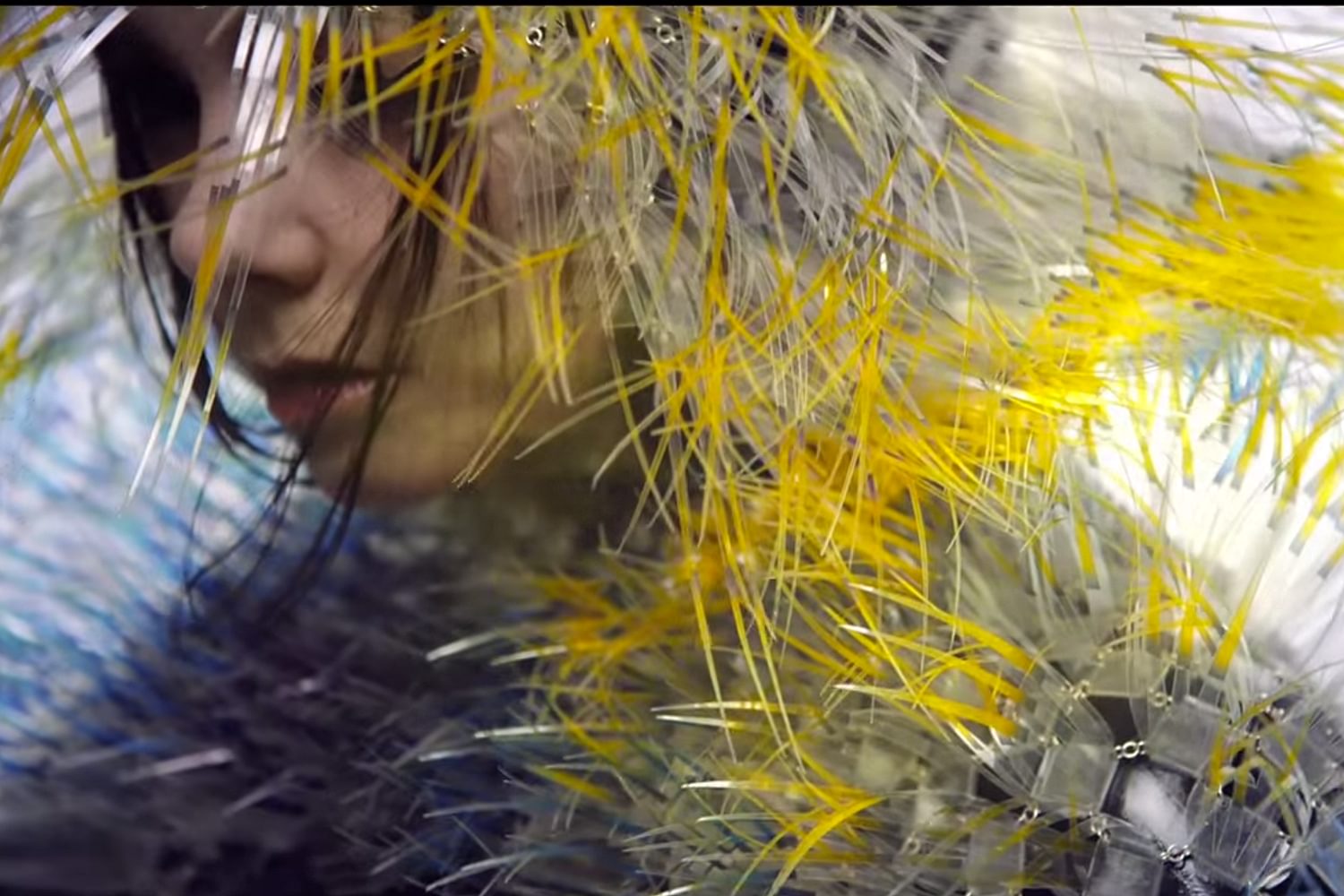 Björk shares full download of New York concert
