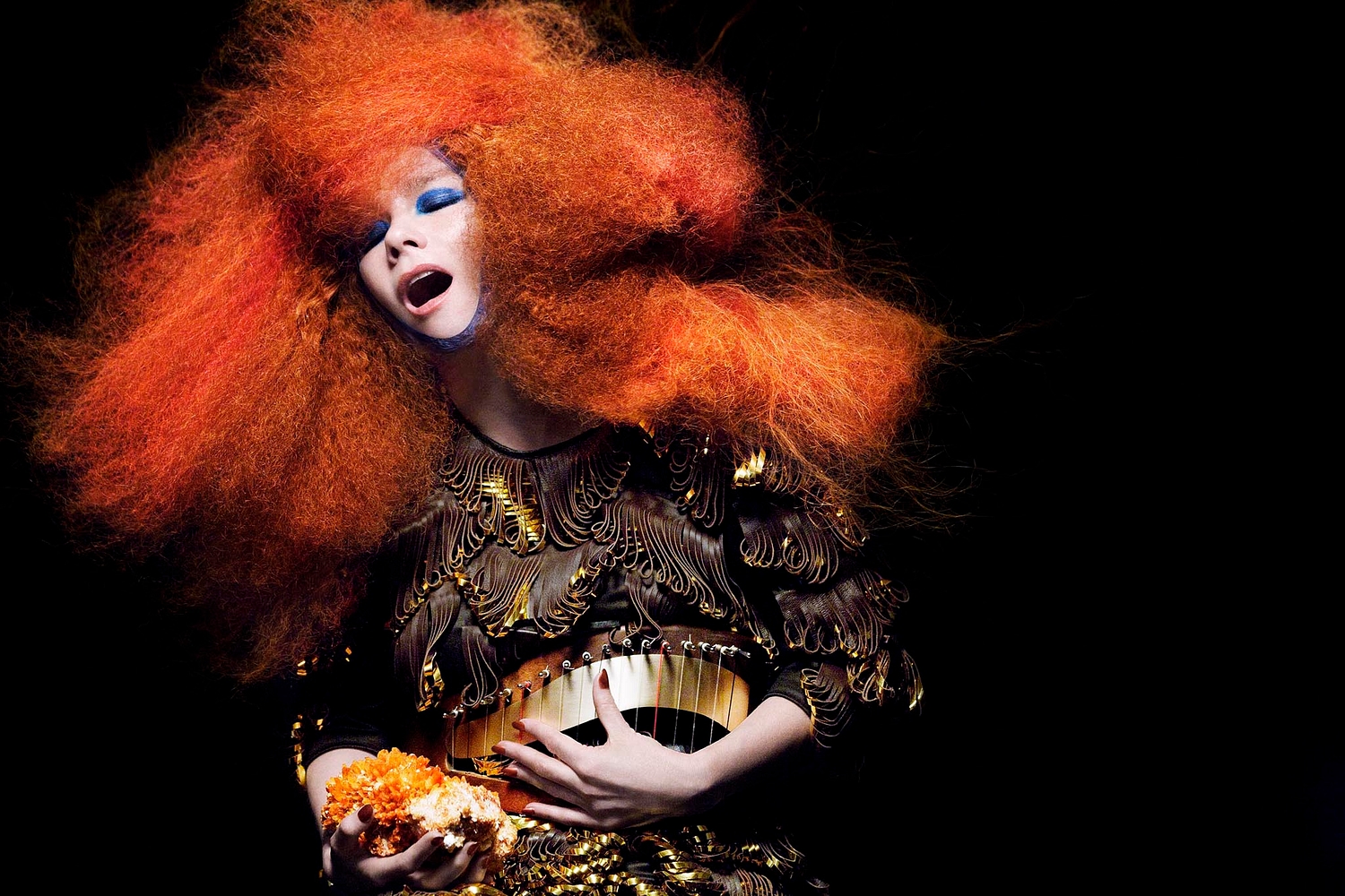 Björk announces New York ‘Vulnicura’ dates
