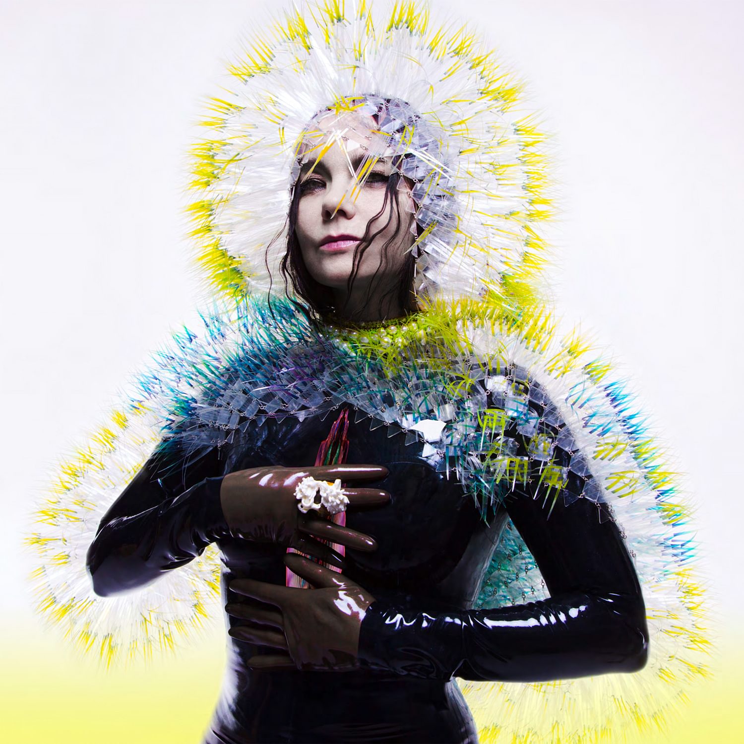 Björk - Vulnicura