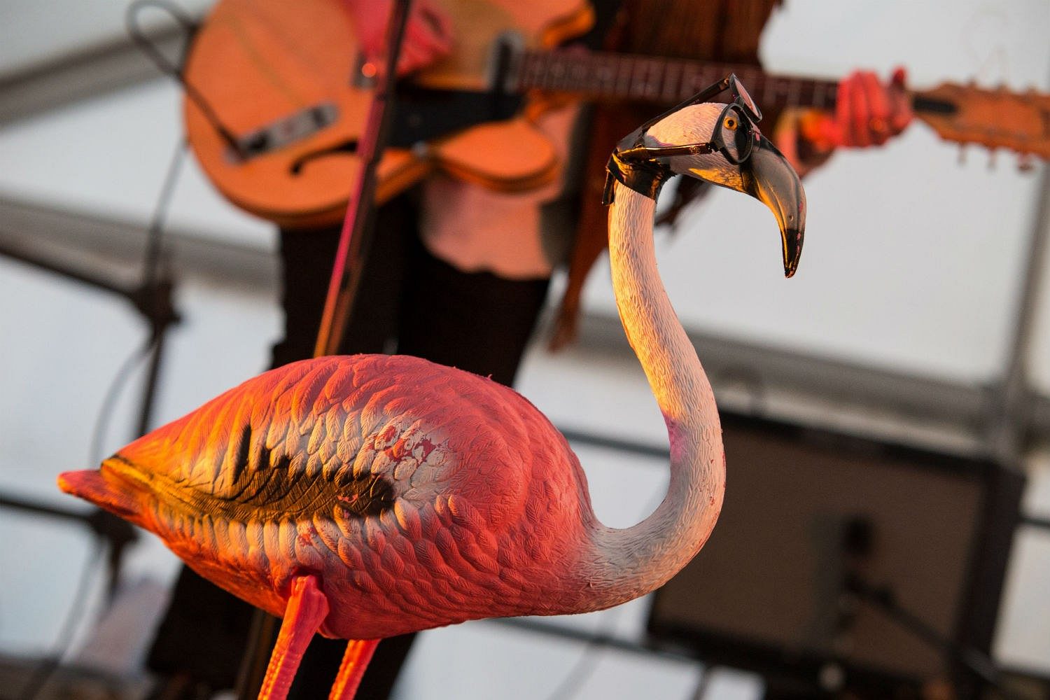 Our Lucky Mascot: Black Honey and Jerry The Flamingo