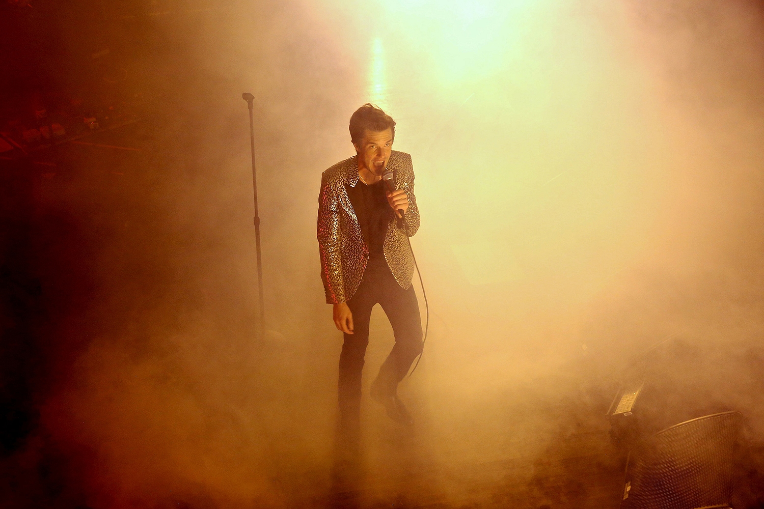 Brandon Flowers: "I was able to do whatever I could dream of"