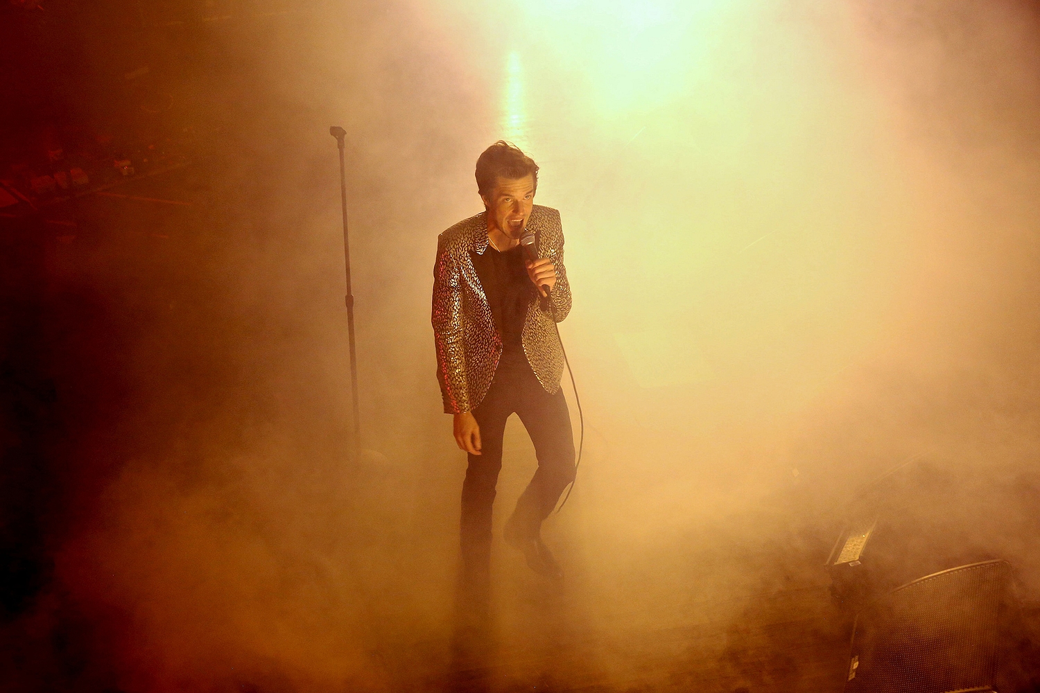 Brandon Flowers: "I was able to do whatever I could dream of"