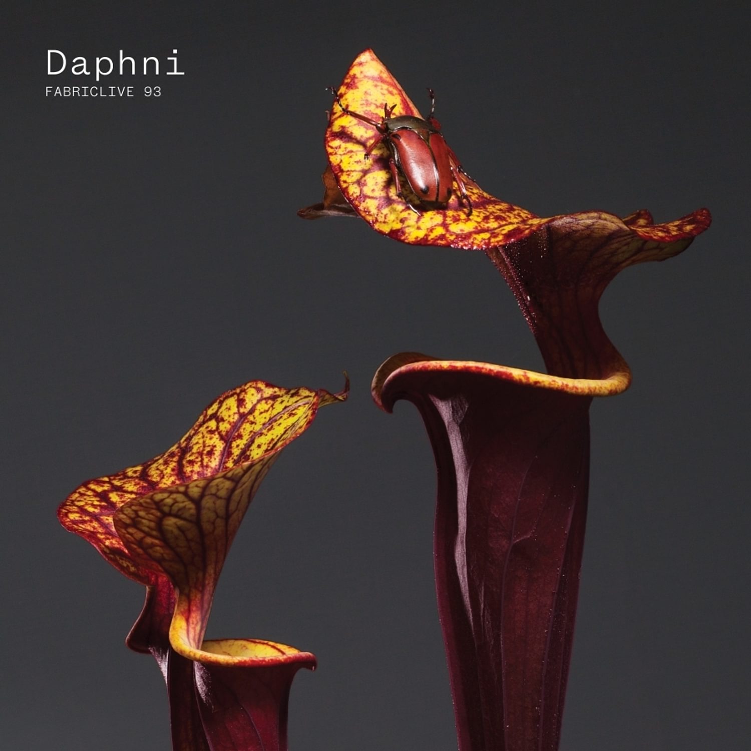 Daphni – FABRICLIVE 93