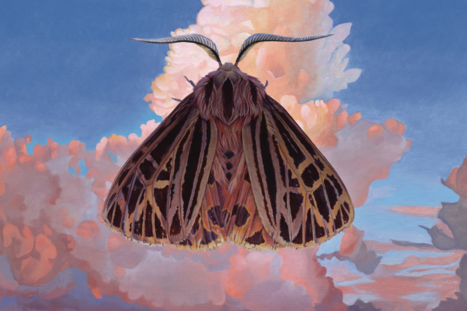 Chairlift - Moth
