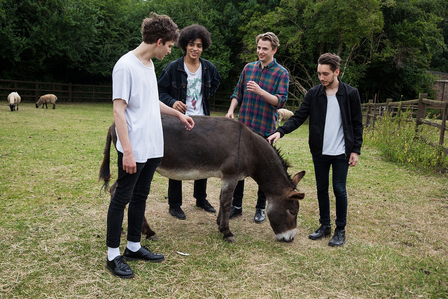 Fantasy Festivals with Wolf Alice and more