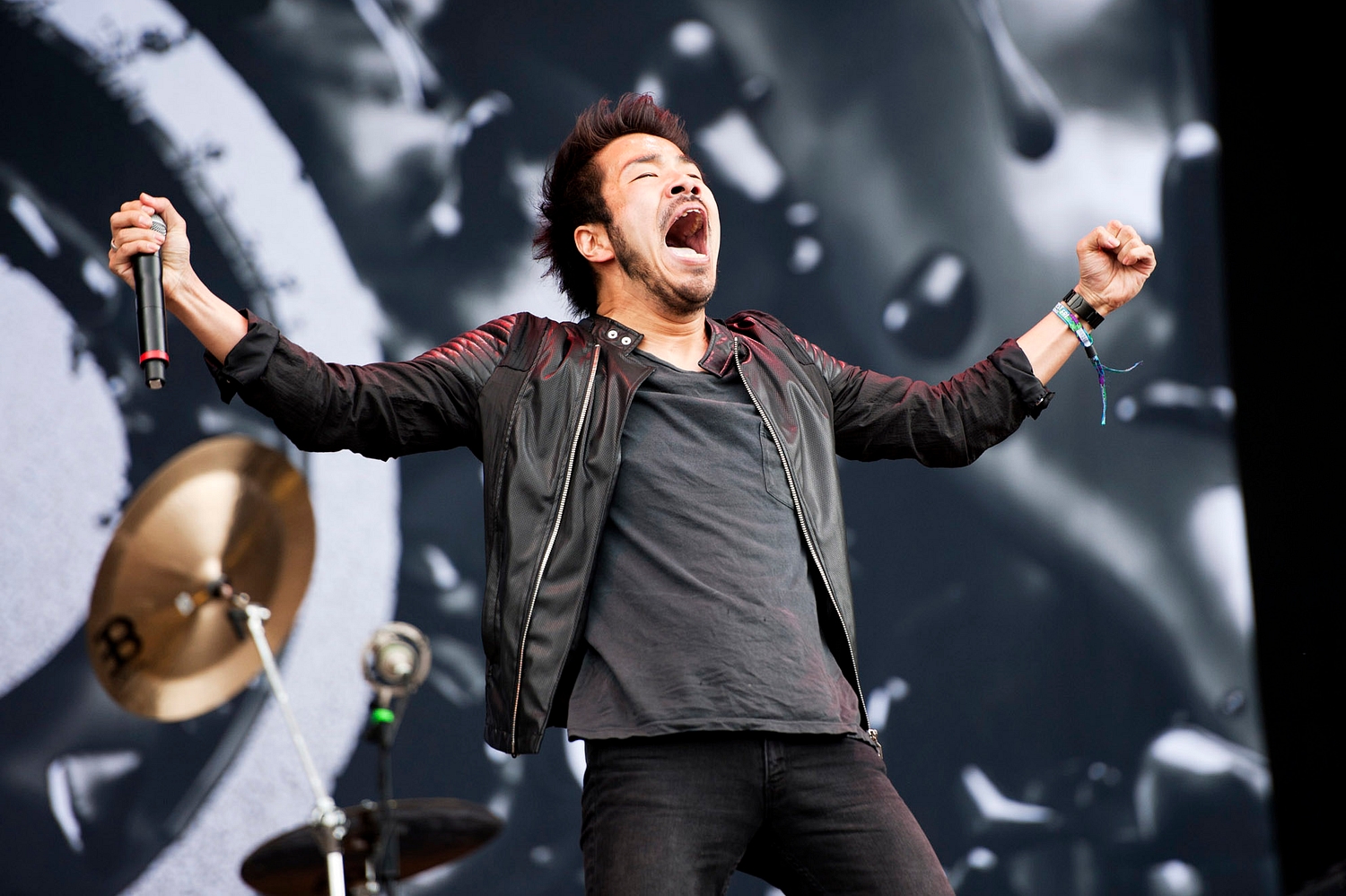 Download 2014