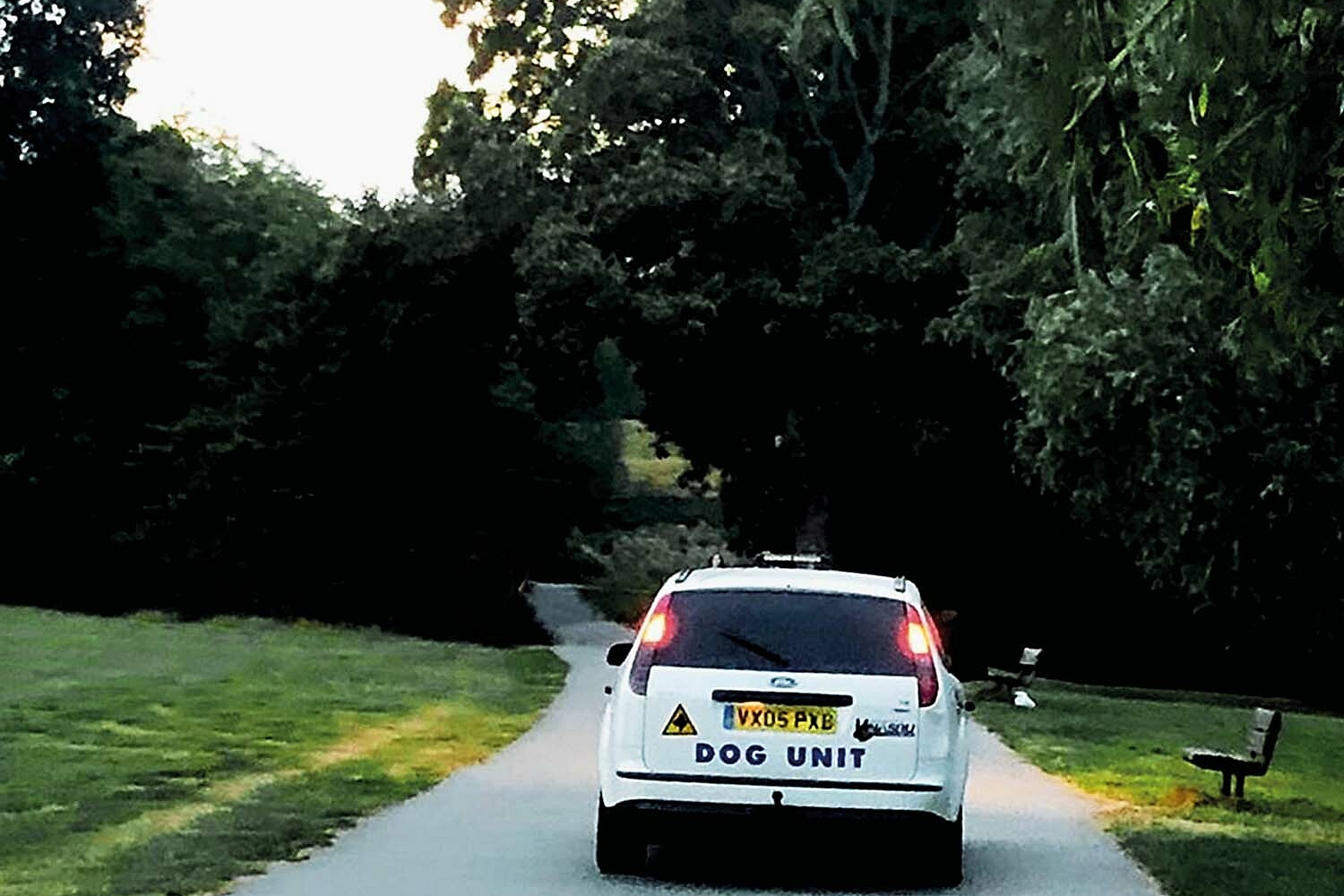 Dog Unit - Turn Right And Right Again