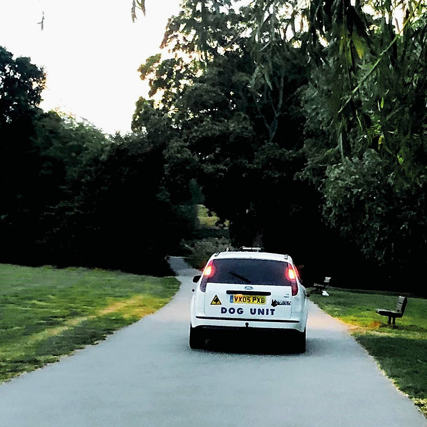 Dog Unit - Turn Right And Right Again