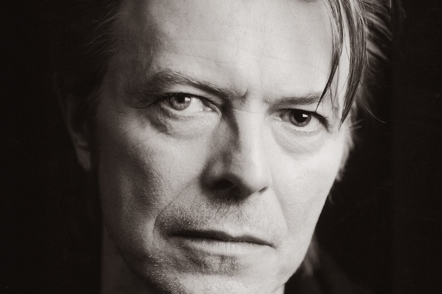 David BowieDavid Bowie shares theme for ‘The Last Panthers’