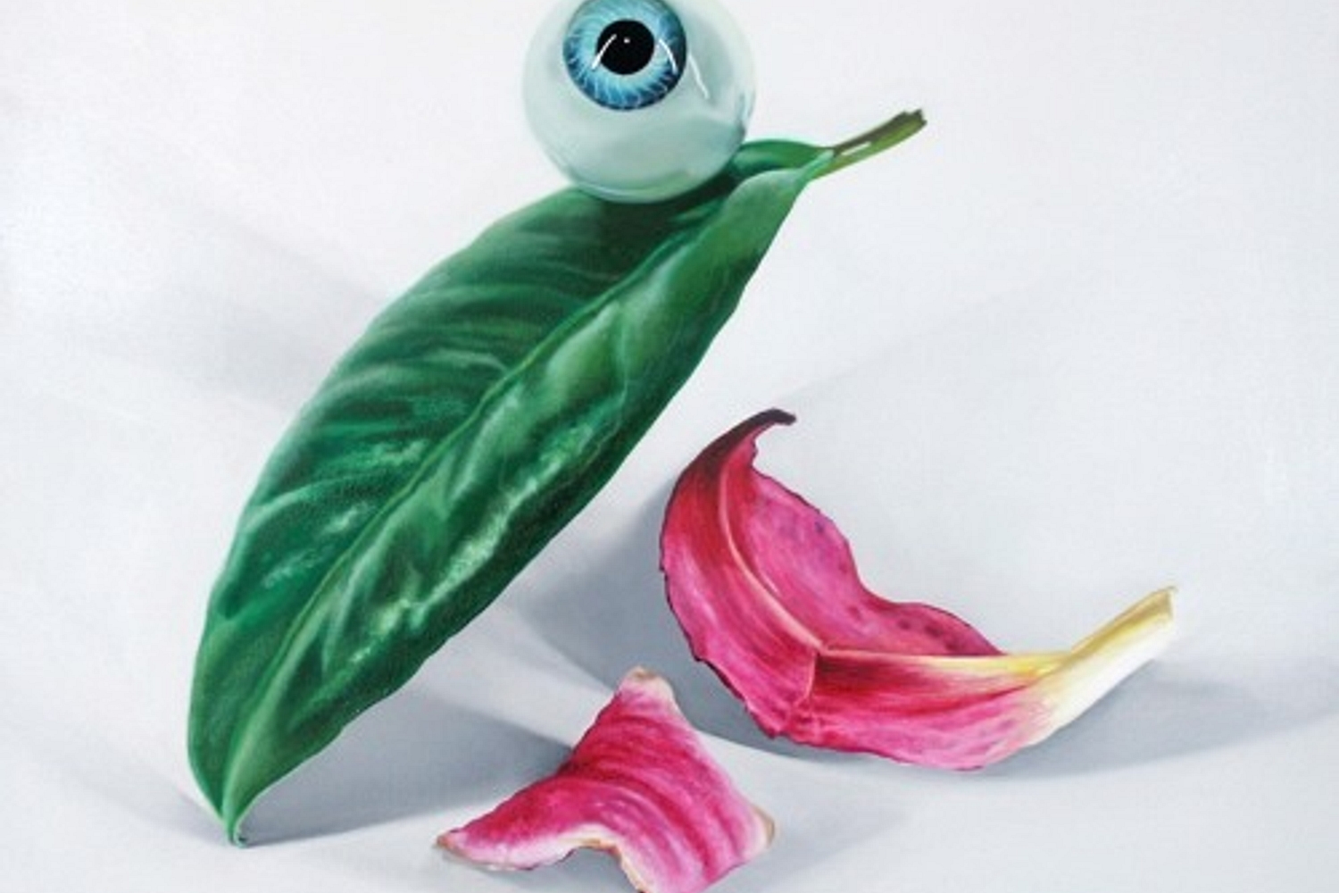 DELS - Petals Have Fallen