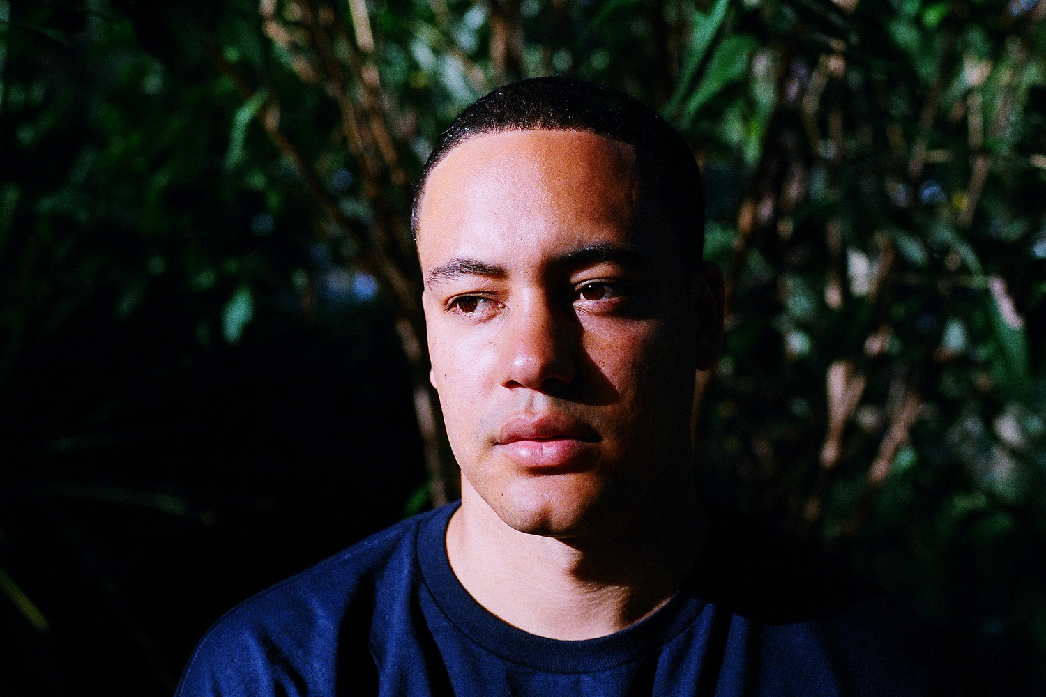 Track by Track DELS Petals Have Fallen • DIY Magazine